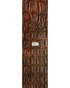 PREY Alligator Griptape